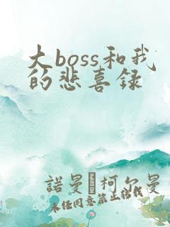 大boss和我的悲喜录