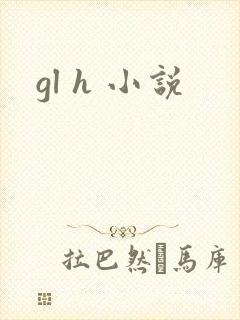 gl h 小说