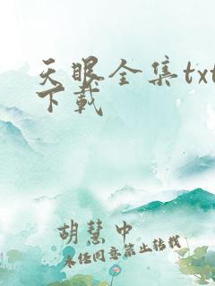 天眼全集txt下载