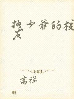 拽少爷的校花女友