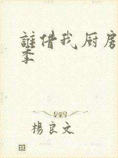 谁借我厨房第三季