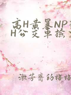 高H黄暴NP辣H公交车检票员