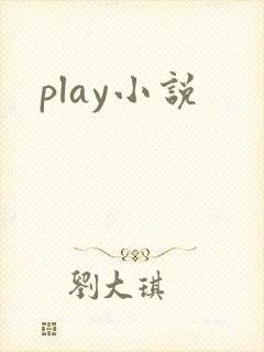 play小说