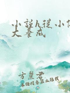 小说h从小做到大养成