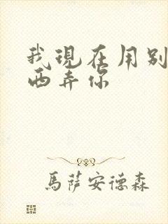 我现在用别的东西弄你