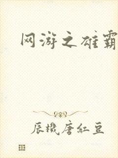 网游之雄霸天下