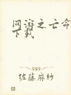 网游之亡命天涯下载