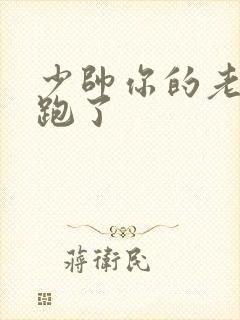 少帅你的老婆又跑了