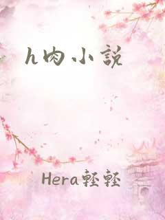 h肉小说