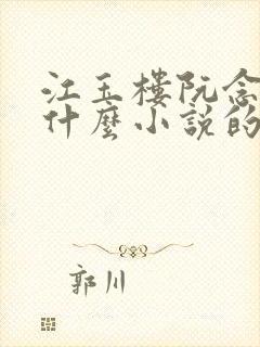 江玉楼阮念笙是什么小说的名字