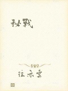 秘战