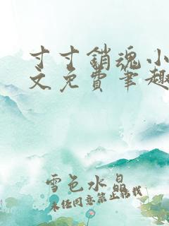 寸寸销魂小说全文免费笔趣阁