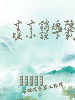 寸寸销魂陈聪王暖小说下载