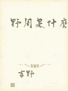 野周是什么意思