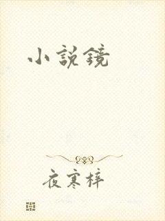 小说镜