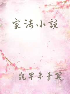 家法小说