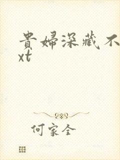 贵妇深藏不露txt