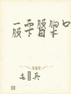 一面膜胸口一面膜下日本