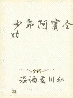 少年阿宾全集txt