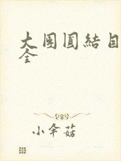 大团圆结目录大全