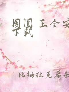 团圆 王全安 下载