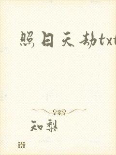 照日天劫txt