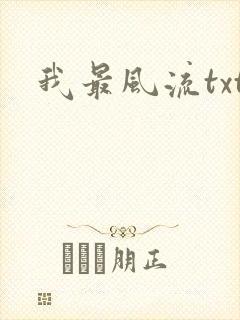我最风流txt