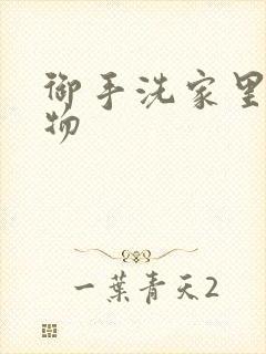 御手洗家里的事物