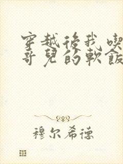 穿越后我吃到了哥儿的软饭炉山灰