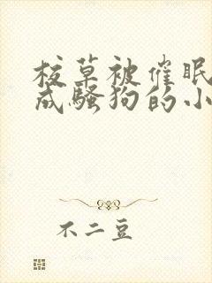 校草被催眠洗脑成骚狗的小说