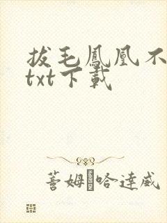 拔毛凤凰不如鸡txt下载