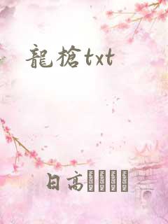 龙枪txt