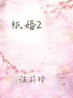 纸婚2