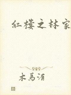 红楼之林家媳妇