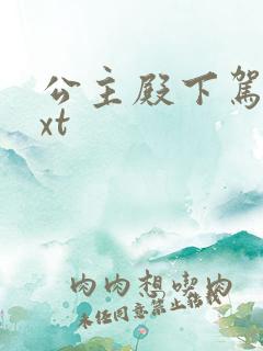 公主殿下驾到txt