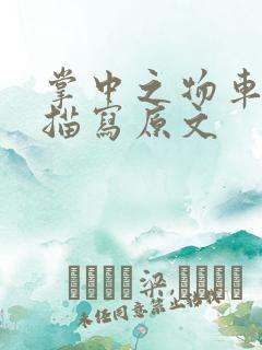 掌中之物车里震描写原文