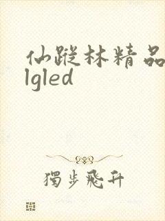 仙踪林精品zzlgled
