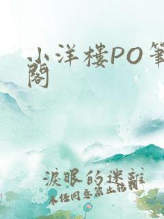 小洋楼PO笔趣阁