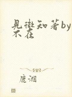 见微知著by音不在