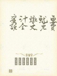 蜜汁炖鱿鱼2小说全文免费阅读