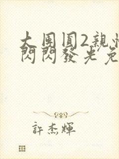 大团圆2亲情会闪闪发光免费