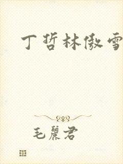 丁哲林傲雪小说
