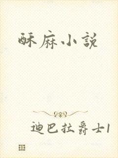 酥麻小说