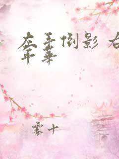 左手倒影 右手年华
