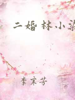 二婚 林小染