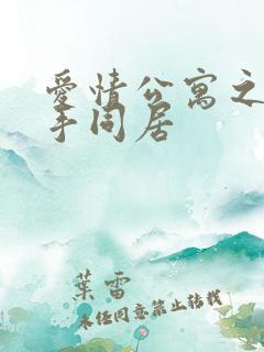 爱情公寓之与杀手同居