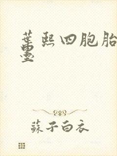 叶熙四胞胎厉子墨