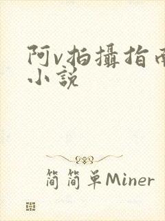 阿v拍摄指南说小说