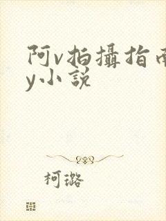 阿v拍摄指南by小说