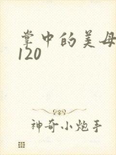 掌中的美母版主120
